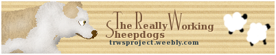 The Really Working Sheepdogs Project